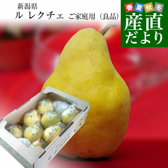 新潟県より産地直送 JAえちご中越 ル レクチェ ご家庭用（良品） 2キロ(4玉から8玉) 洋ナシ 洋梨 ル・レクチェ　冬ギフト　御歳暮のサムネイル