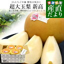 新潟県産 JAえちご中越 糖度13度以上 超大玉梨 新高 「最上位等級:糖鮮確実 (とうせんかくじつ)」 大玉 約2キロ (4玉) 送料無料 なし ナシ