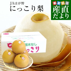 栃木県より産地直送 JAはが野 にっこり梨 大玉 5キロ (4玉から6玉)送料無料 優品以上 なし 梨 ナシ