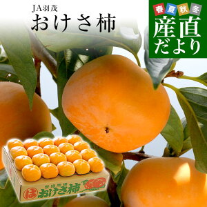 新潟県より産地直送 佐渡島 JA羽茂 おけさ柿 3.75キロ 2LからMサイズ(14玉から20玉) 柿 かき 送料無料