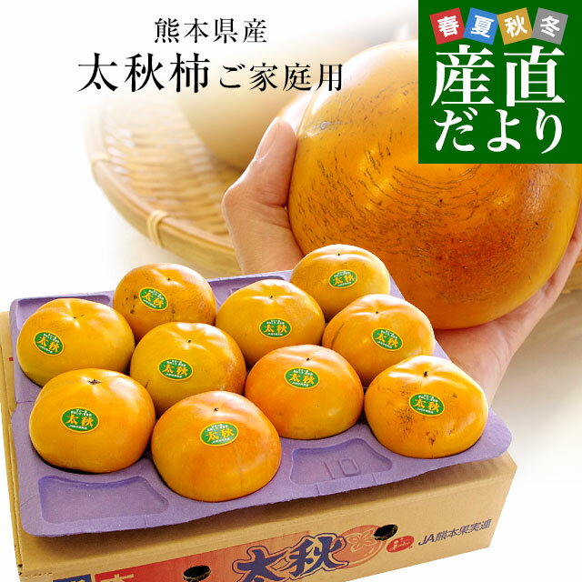 熊本県より産地直送 JAあしきた 太秋柿 3.5キロ(8玉から14玉) 送料無料 柿 かきのサムネイル