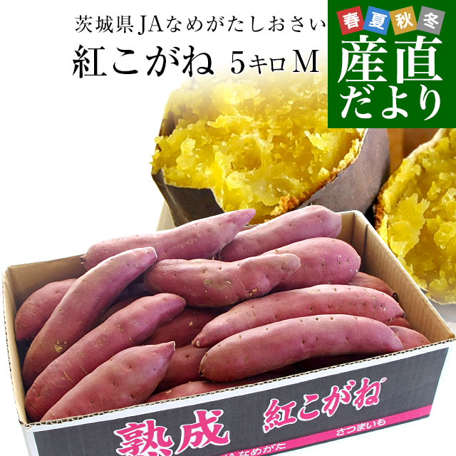 茨城県より産地直送 JAなめがたしおさい さつまいも 熟成紅こがね Mサイズ 約5キロ 18本前後 送料無料 行方 薩摩芋