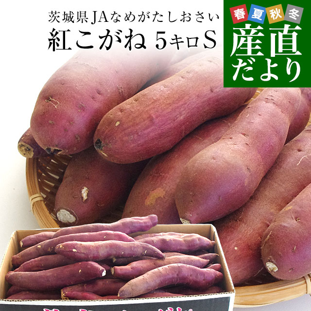 茨城県より産地直送 JAなめがたしおさい さつまいも 熟成紅こがね Sサイズ 約5キロ 25本から30本 送料無料 行方 薩摩芋