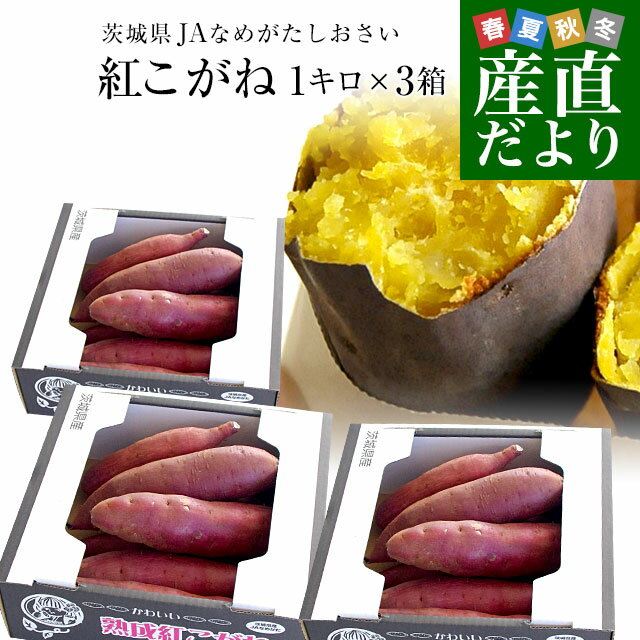 茨城県より産地直送 JAなめがたしおさい さつまいも 熟成紅こがね SからSSサイズ 約1キロ 5本から10本 3箱セット 送料無料 行方 薩摩芋