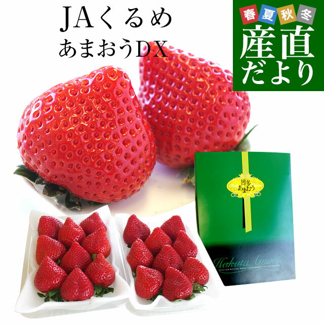 福岡県より産地直送 JAくるめ あまおういちご DX:ギフト用デラックス 約540g(270g×2パック) 送料無料 苺 いちご イチゴストロベリーのサムネイル