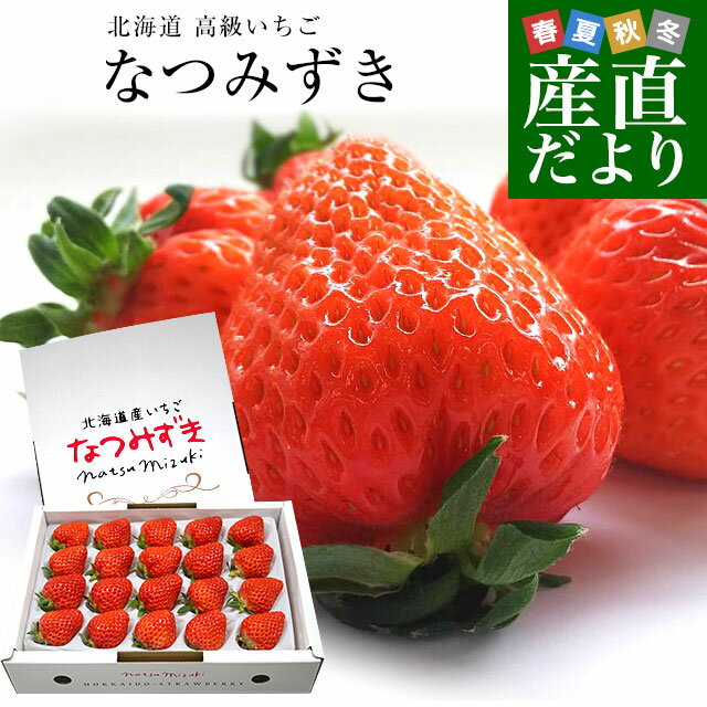 北海道より産地直送 高級いちご なつみずき　約300g（20粒または24粒）化粧箱入り イチゴ 苺 夏イチゴ