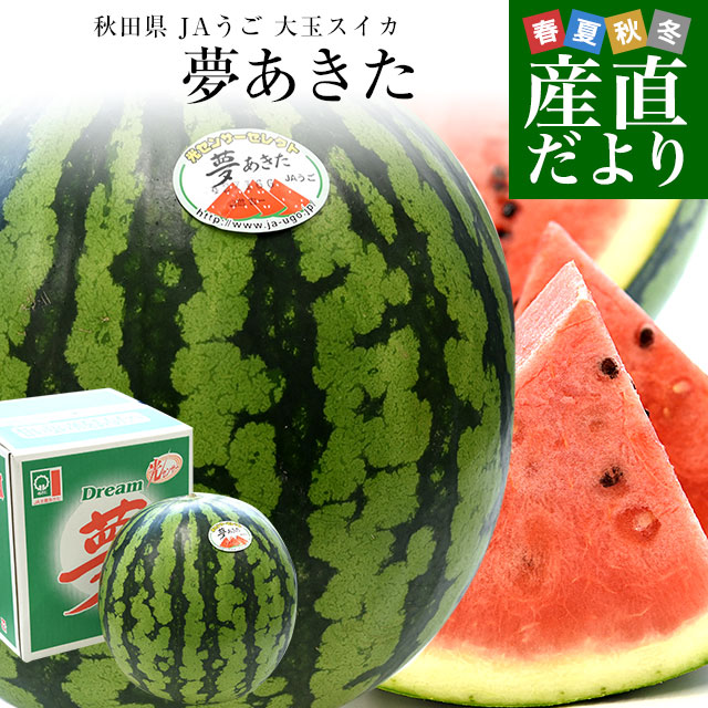 秋田県産JAうご 大玉スイカ 夢あきた A品 5Lサイズ 10キロ以上（1玉入り） 送料無料 西瓜 すいか