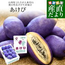 山形県 JAさがえ西村山 朝日町あけび生産組合 あけび 秀品 2LからSサイズ 約1キロ(6玉から15玉入り)送料無料 アケビ 木通 通草