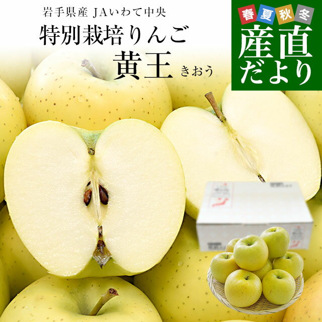 岩手県産 JAいわて中央 特別栽培りんご「黄王」等級：特以上 約3キロ（8玉から13玉入り）送料無料 林檎 リンゴ きおう 黄りんごのサムネイル