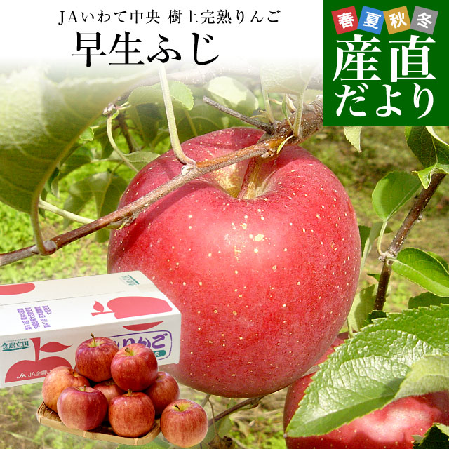 岩手県から産地直送 JAいわて中央 樹上完熟りんご「早生ふじ」等級:特以上 約2.5キロ（7玉から1 ...