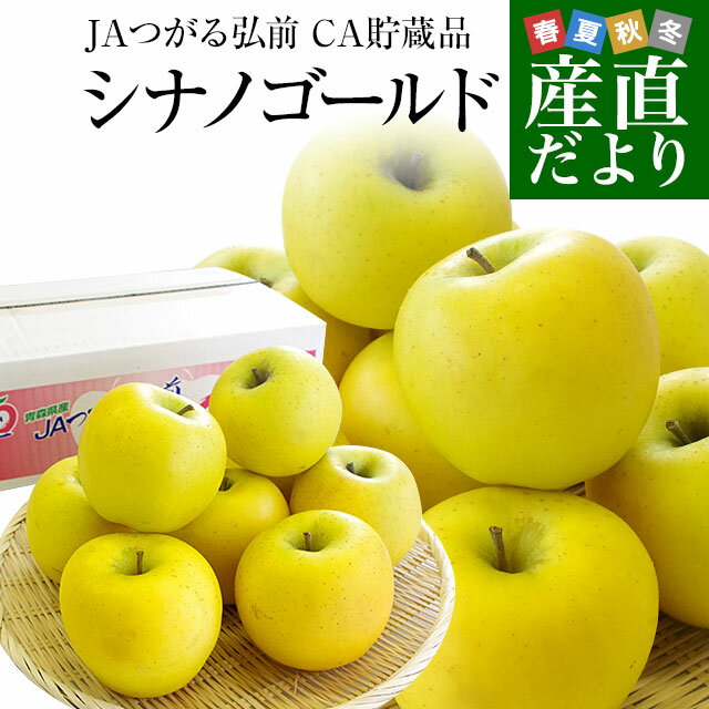 りんご 青森県より産地直送 JAつがる弘前 シナノゴールド CA貯蔵品 約3キロ（9玉から13玉）送料無料 りんご しなのごーるど