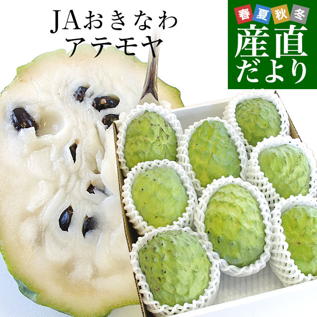 沖縄県より産地直送 JAおきなわ アテモヤ LからSサイズ 約1.8キロ (6玉から10玉) あてもや トロピカルのサムネイル