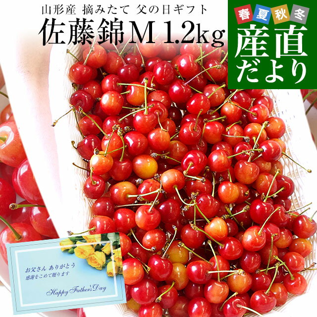 さくらんぼ 父の日ギフト 山形県より産地直送 さくらんぼ佐藤錦 Mサイズ　たっぷり1.2キロ (約300g×4P入) 送料無料 父の日プレゼント　クール便　サクランボ