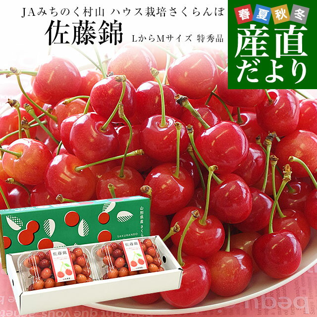 山形県産 JAみちのく村山 ハウス栽培さくらんぼ「佐藤錦」LからMサイズ 特秀品 合計約400g（約200g×2パック） 送料無料 サクランボ さとうにしき 1