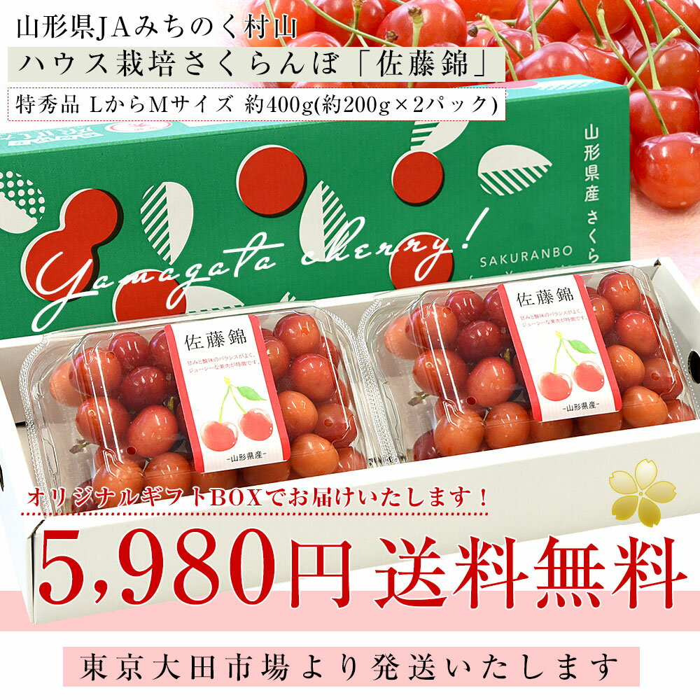 山形県産 JAみちのく村山 ハウス栽培さくらんぼ「佐藤錦」LからMサイズ 特秀品 合計約400g（約200g×2パック） 送料無料 サクランボ さとうにしき 3