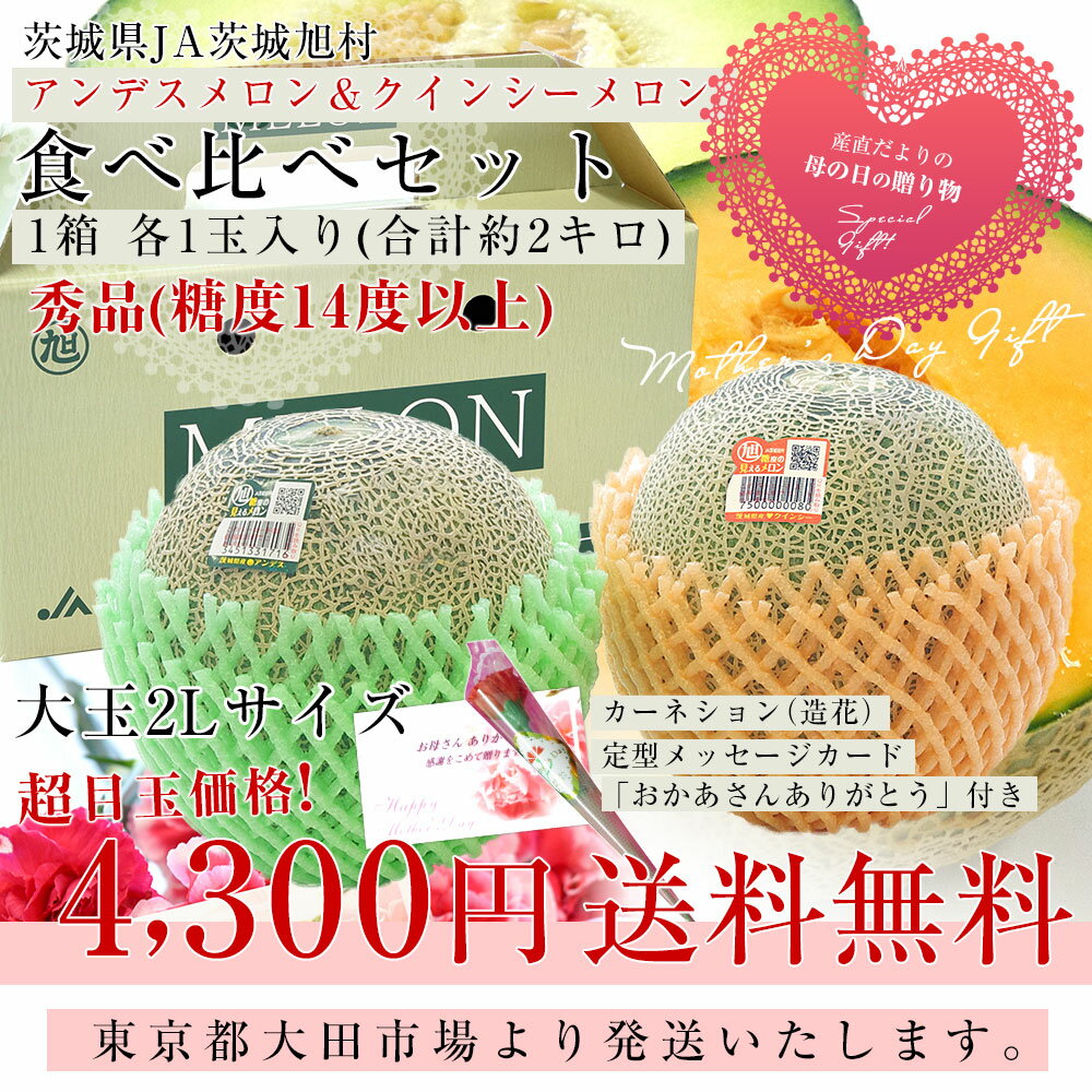 【遅れてごめんね】母の日ギフト 茨城県産 JA茨城旭村 アンデスメロン＆クインシーメロン 秀品 2玉セット(合計約2キロ) 2Lサイズ 送料無料 メロンセット　「花」とのセット商品 3