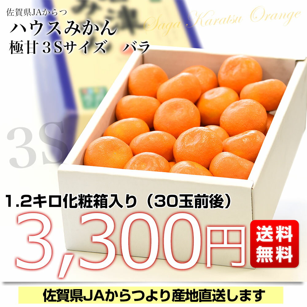 佐賀県より産地直送　JAからつ　ハウスみかん　3Sサイズ 　約1.2キロ（約30玉）　蜜柑　ミカン　送料無料 3