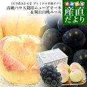 岡山県 JA全農おかやま プレミアム果物ギフト 「高級ハウス栽培ニューピオーネ1房&岡山白桃エース4玉」 大房 送料無料 ギフト 夏ギフト お中元 御中元