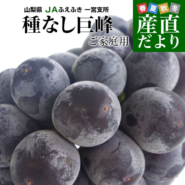山梨県産JAふえふき一宮支所 ご家庭用に最適！大型サイズ種なし巨峰 約1.5キロ (3房入り) 送料無料 葡萄 ぶどう 黒ぶどう ※クール便のサムネイル