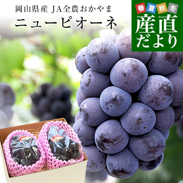 岡山県産 JA晴れの国岡山 ニューピオーネ 青秀品以上 約1.2キロ(600g×2房)　送料無料 ブドウ 葡萄 種なしぶどう ピオーネ 黒ぶどう ※クール便のサムネイル