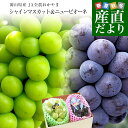 岡山県産 シャインマスカット&ニューピオーネセット 青秀品以上 大房 合計 約1.2キロ (2房)ぶどう ※クール便