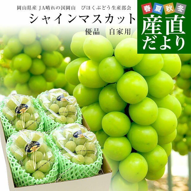岡山県産　JA晴れの国岡山　びほくぶどう生産部会　自家用 シャインマスカット 晴王（はれおう）約2キロ（3房から4房）優品 送料無料 種なしぶどう クール便