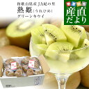 和歌山県産 JA紀の里 熟姫(うれひめ) 約1.8キロ(5玉から7玉入り×2袋) 送料無料 キウイフルーツ グリーンキウイ ヘイワード 市場発送
