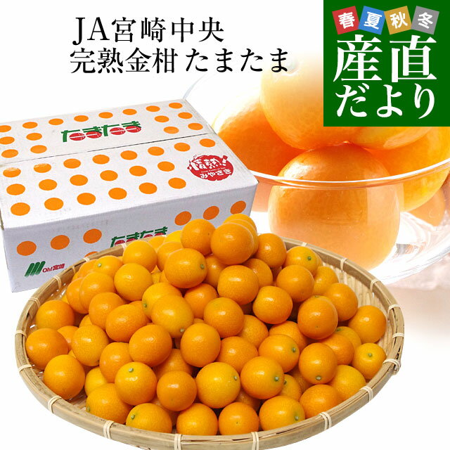 宮崎県から産地直送 JA宮崎中央 たまたま 2Lサイズ 3キロ (約120玉) 送料無料 きんかん 金柑 完熟きんかん 送料無料のサムネイル