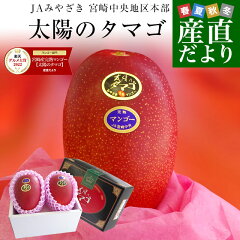 https://thumbnail.image.rakuten.co.jp/@0_mall/sanchokudayori/cabinet/fruits14/mango23_0_r.jpg