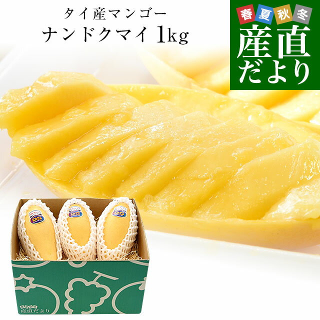 タイ産マンゴー　ナンドクマイ 大玉厳選　約1キロ（3玉入）送料無料 マンゴー トロピカルフルーツのサムネイル