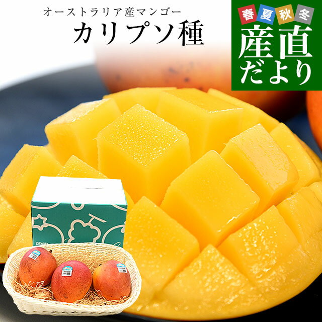 オーストラリア産 マンゴー カリプソ種 約1.2キロ (3玉) 送料無料 マンゴー トロピカルフルーツ
