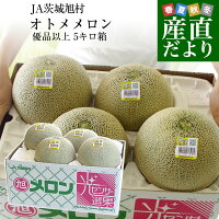 茨城県産 JA茨城旭村 オトメメロン 優品以上 5キロ箱 (3玉から4玉) 3Lから4Lサイズ...