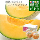 茨城県より産地直送 JA水戸ひぬま レノンメロン(赤肉) 4Lから3L 5キロ箱(3玉から4玉) 送料無料 赤肉メロン
