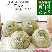 茨城県産 JA茨城旭村 アンデスメロン A品 4Lから3Lサイズ 約5キロ (3玉から4玉) 送...