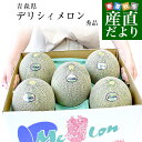青森県産 五所川原地区 超大玉 デリシィメロン 秀品 合計約8キロ (4玉から5玉入り) 原体箱 メロン めろん 送料無料 市場発送