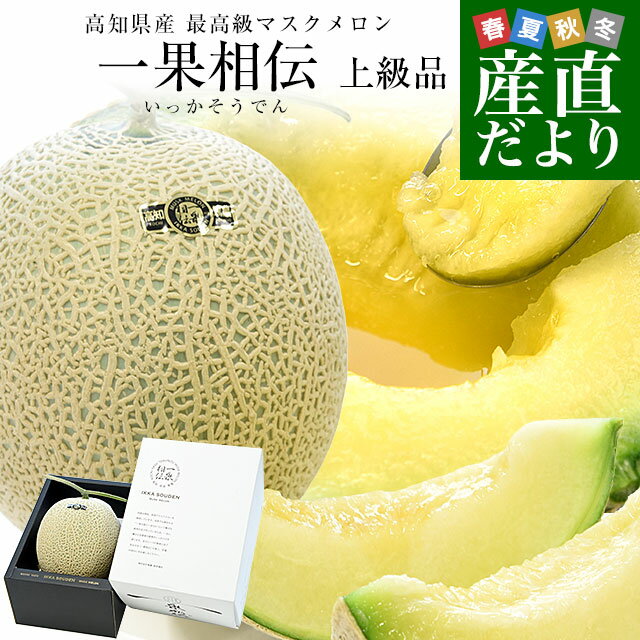 高知県産 最高級マスクメロン「一果相伝(いっかそうでん)」上級品 1玉 約1.6キロ 化粧箱 送料無料 めろん マスクメロン アールスメロンのサムネイル