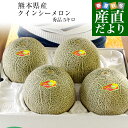 熊本県産 JA熊本市又はJA熊本うき クインシーメロン 超大玉 4Lから3Lサイズ 秀品 5キロ箱 (3玉から4玉入) 送料無料 赤肉 めろん メロン