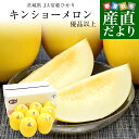 茨城県産 JA常総ひかり キンショーメロン LからLAサイズ 優品以上 合計5キロ前後(9玉から8玉入り) 送料無料 めろん ノーネットメロン