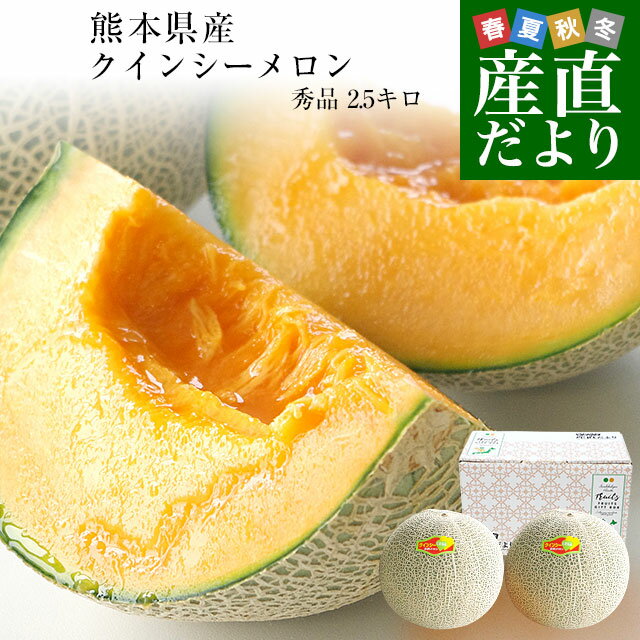 北海道 ”夕張メロン” 共撰・優品 1玉 約1.6kg【予約 7月中下旬以降】 送料無料