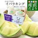 茨城県より産地直送 JA水戸ひぬま イバラキング 優品以上 5キロ箱(3玉から4玉) 3Lから4Lサイズ 送料無料 メロン めろん 青肉メロン 青肉