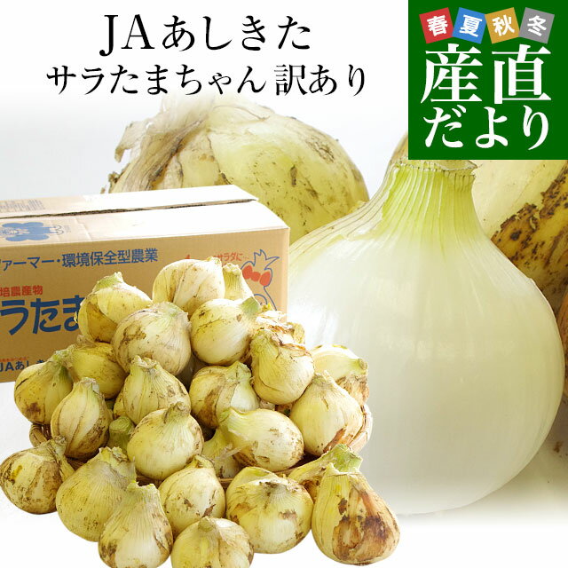 熊本県より産地直送 JAあしきた サラたまちゃん 規格外 (訳あり品) 約10キロ 送料無料 玉葱 タマネギ ..