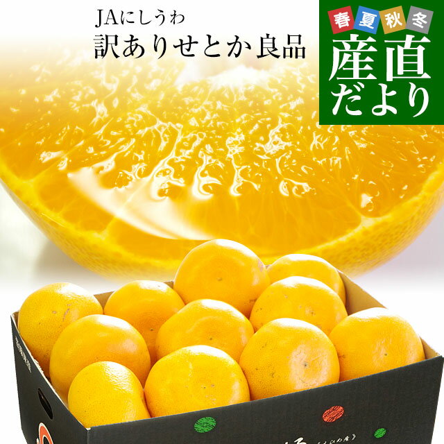 愛媛県より産地直送 JAにしうわ せとか 良品 ちょっと訳あり 3LからLサイズ 3キロ (10玉から15玉) 送料無料　セトカ 西宇和