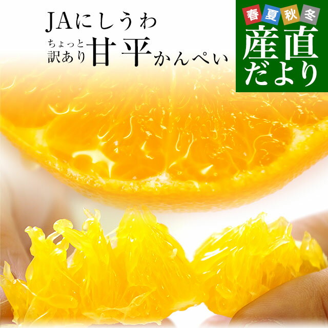 愛媛県より産地直送 JAにしうわ 甘平(かんぺい) ちょっと訳あり 3LからLサイズ 3キロ(10から15玉) 送料無料　カンペイ 西宇和