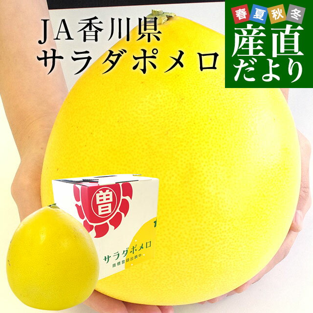 香川県より産地直送 JA香川県 オリジナル文旦 サラダポメロ 1玉 約1.4キロ 化粧箱入り ぽめろ 文旦 讃岐 さぬき 送料無料のサムネイル