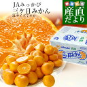 静岡県産 JAみっかび 三ケ日みかん (青島種) 3Lサイズ 7キロ (30玉から40玉)送料無料 三ヶ日 みつかび ミカン 温州みかん