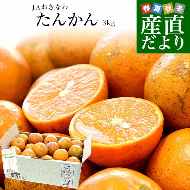 沖縄県産 JAおきなわ たんかん 約3キロ MからSサイズ(25玉から30玉前後) 送料無料 柑橘 オレンジ タンカン 市場発送のサムネイル