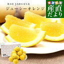 熊本県 JA熊本果実連 ジューシーオレンジ（河内晩柑） Mサイズ 青秀品 約4.5キロ（16玉） 送料無料 柑橘 オレンジ