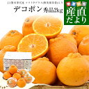熊本県 JA熊本果実連 デコポン 秀品 約2キロ(5玉から8玉入り) ソフトPプラス(鮮度保持袋)入り 送料無料 柑橘 でこぽん