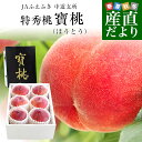 【ふるさと納税】☆フルーツ王国山形☆ 白桃 秀品3kg [山形で生産量1番の 川中島白桃 ] 【令和6年産先行予約】FS23-825 山形 山形県 山形市 フルーツ 果物 くだもの 送料無料 桃 もも モモ 川中島 白桃