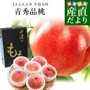 【ふるさと納税】☆フルーツ王国山形☆ 白桃 秀品3kg [山形で生産量1番の 川中島白桃 ] 【令和6年産先行予約】FS23-825 山形 山形県 山形市 フルーツ 果物 くだもの 送料無料 桃 もも モモ 川中島 白桃